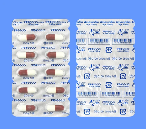 阿莫西林胶囊250mg「日医工」药品图片